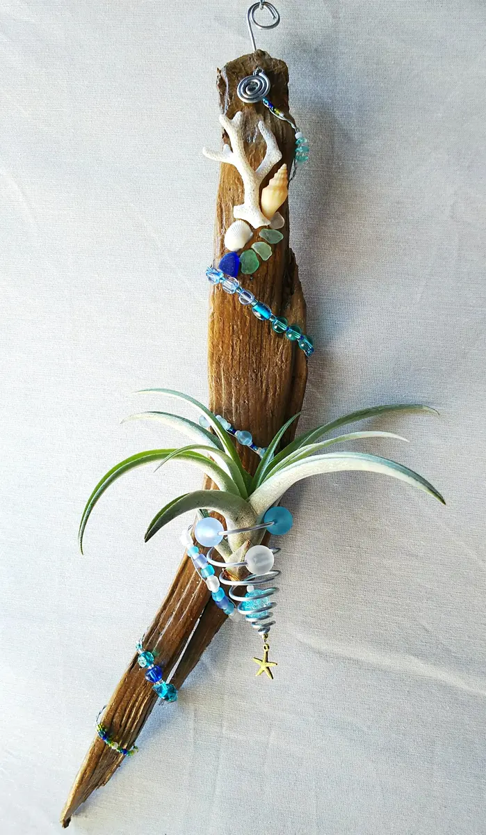 流木、シーグラス、貝殻などで作ってみ「ハンドメイド(エアプランツ