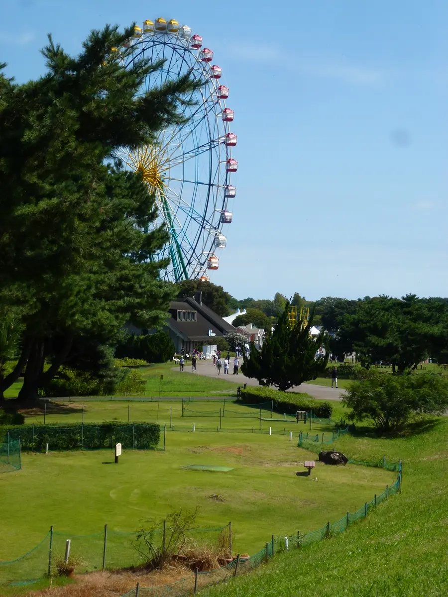 見えてきた、大観覧車。「20210923国営ひたち海浜公園」のアルバム
