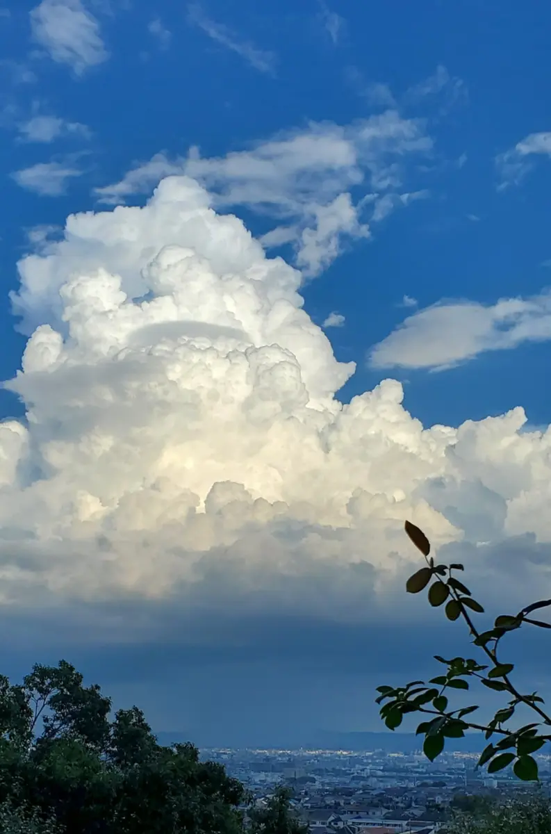 入道雲 入道雲❗「夕方」のアルバム-みんなの趣味の園芸1758799