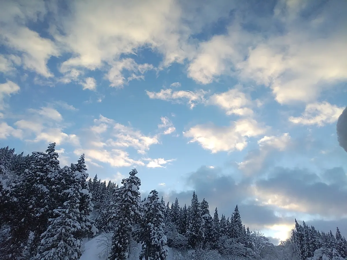 今朝の空！久し振りの青空に心も明るく...「冬景色」のアルバム  