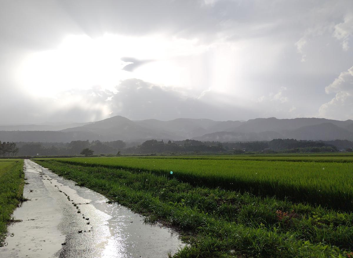 お天気雨?☔拡大すると見える雨粒面...「空」のアルバム-みんなの趣味 