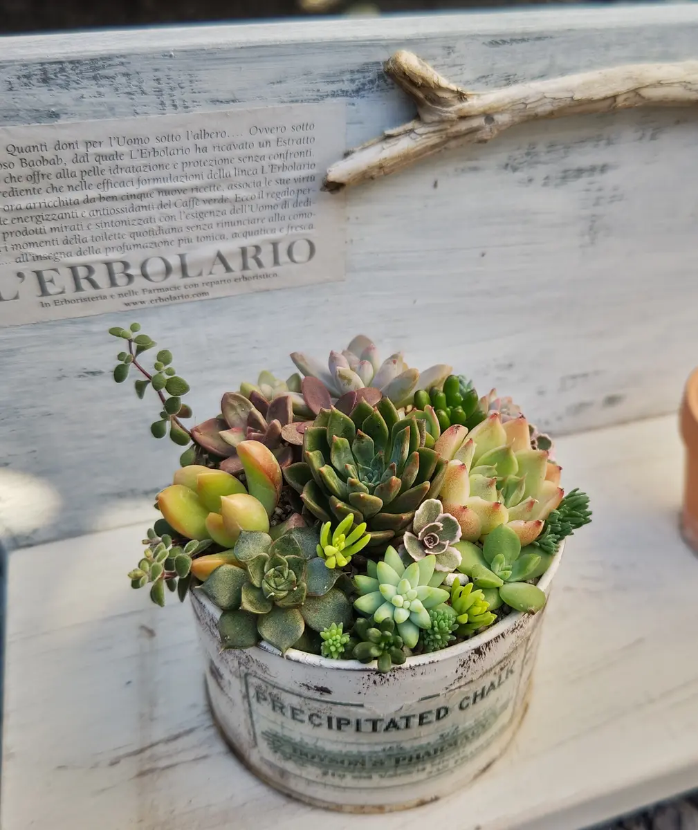 No.51】多肉リメ缶2個セット