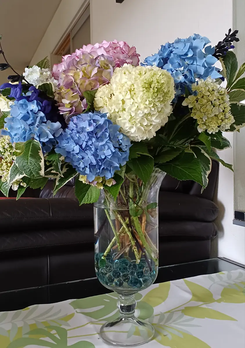 🔷我が家の紫陽花色ずいた紫陽花を積「フラワーアレンジメントや