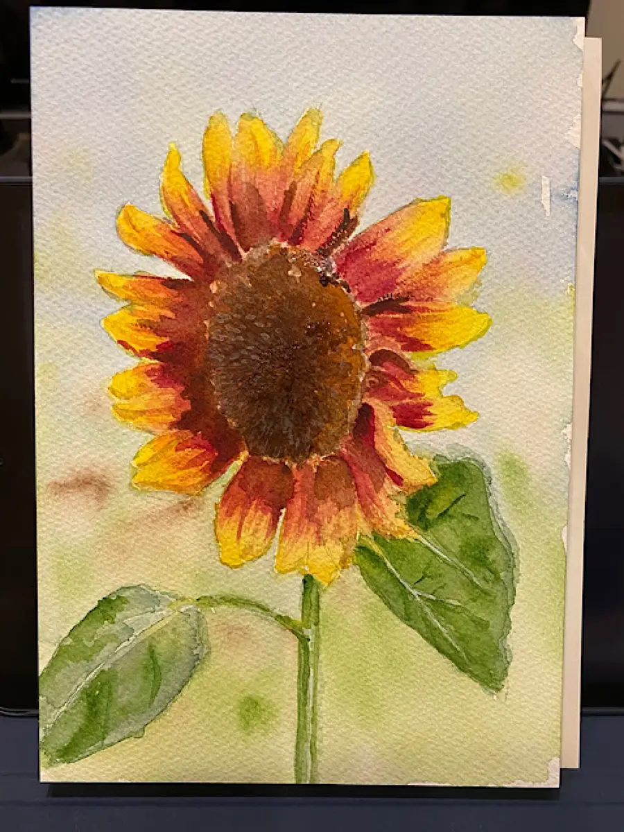 ヒマワリ バイカラー水彩「植物画」のアルバム-みんなの趣味の園芸1736837