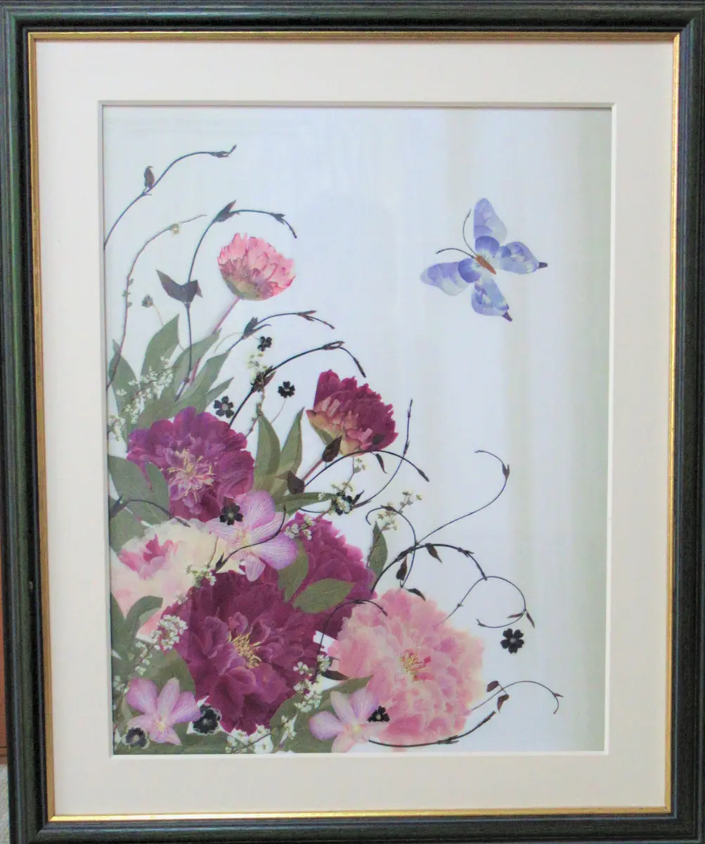 以前作ったのを、思い出して壁に掛け楽「押し花絵」の