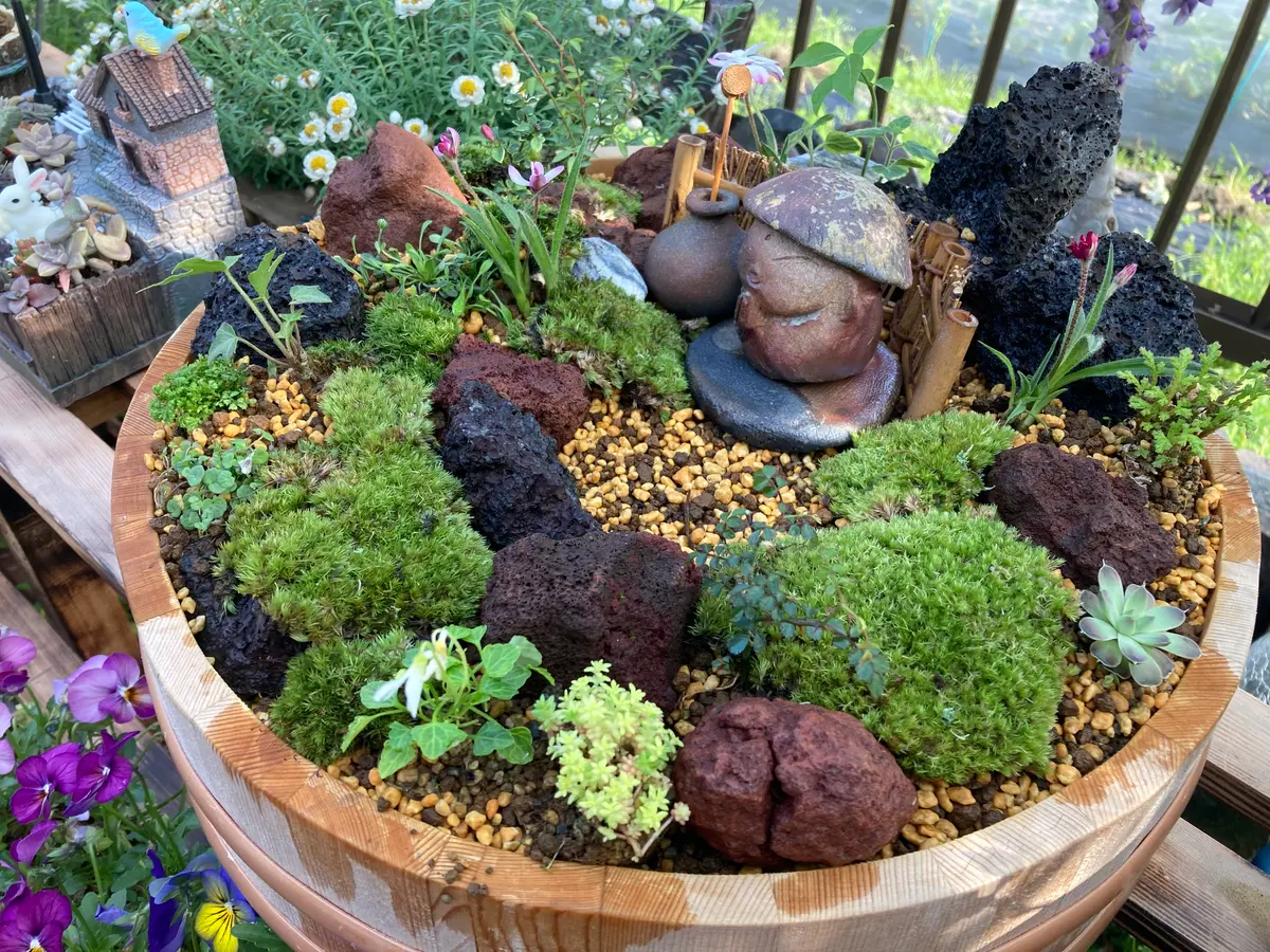 山野草のミニガーデン「我が家の箱庭」のアルバム-みんなの趣味の園芸