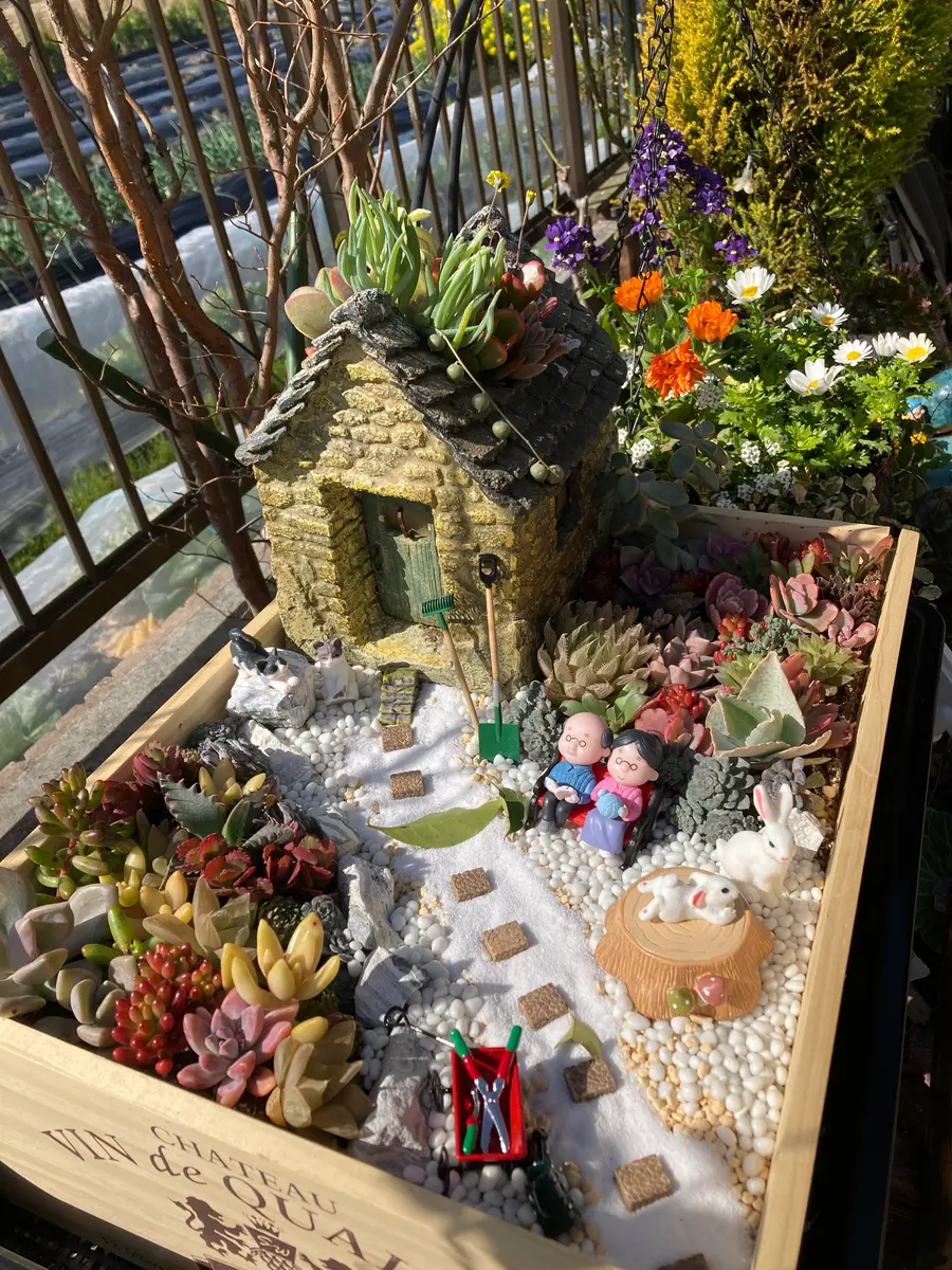 多肉の寄せ植えミニガーデン「我が家の箱庭」のアルバム-みんなの趣味