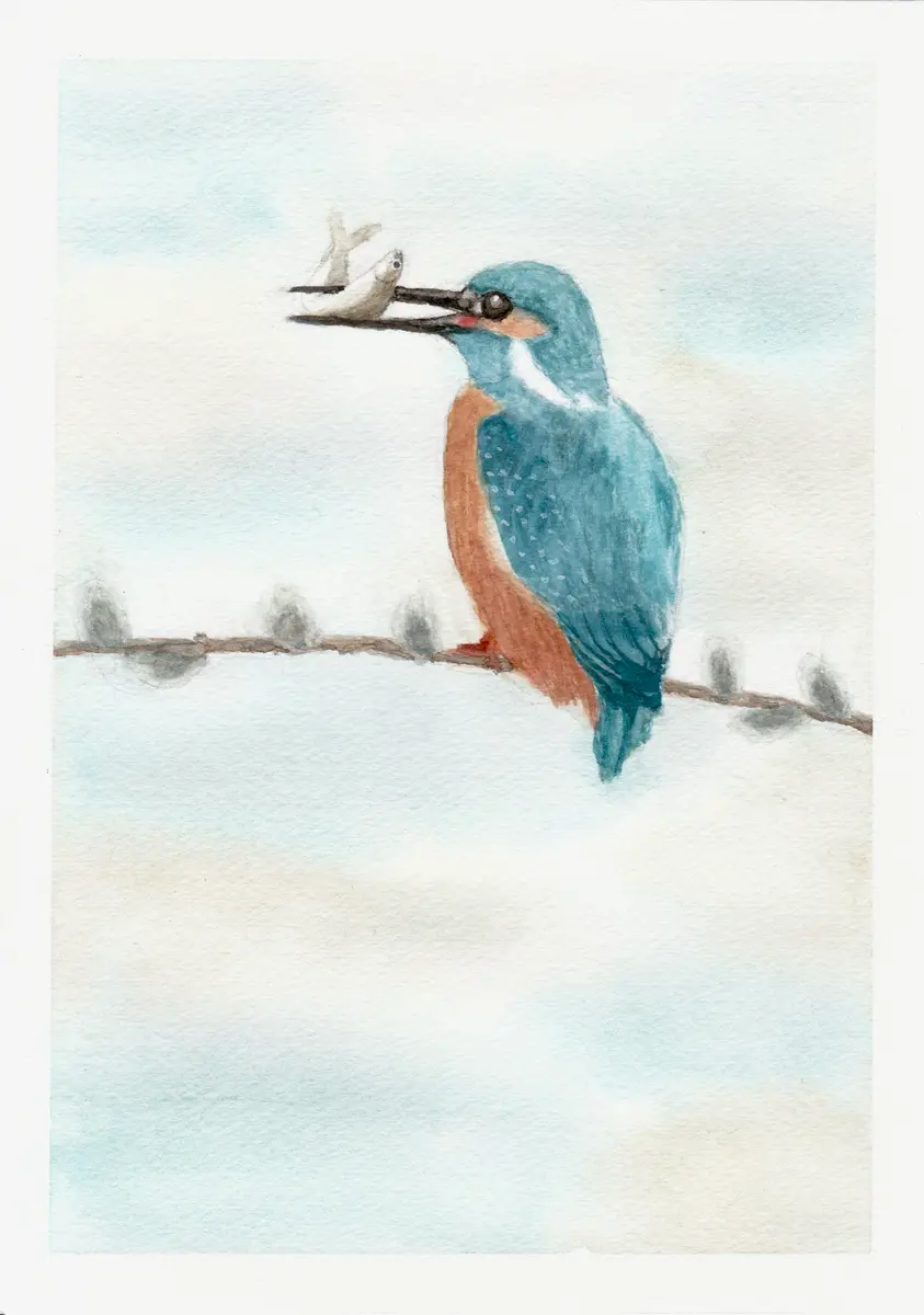 S.Okamoto カワセミハンティング 水彩画？ 版画？