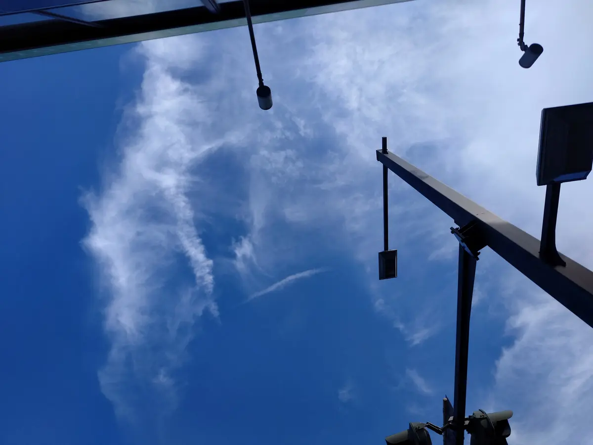 青い空「空を見上げて その3」のアルバム-みんなの趣味の園芸2273736
