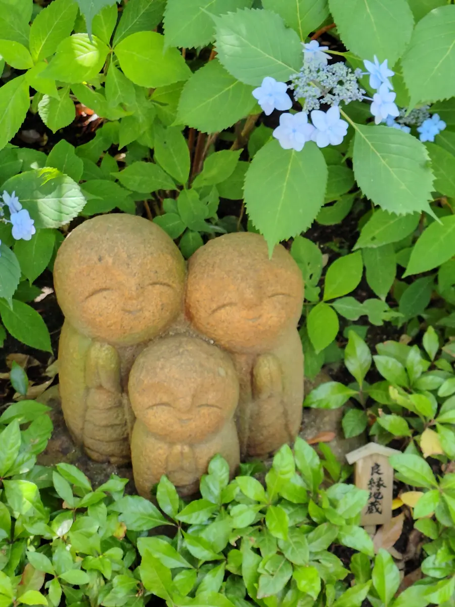 【つくつくページ】 お地蔵様と紫陽花ハーバリウム ほっこりお地蔵様と紫陽花(鎌倉長谷寺)「お出かけ．散歩で出会った花
