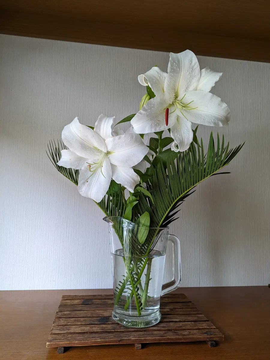 切って玄関にソテツの葉と飾りました。「大好きな花たち No5」の