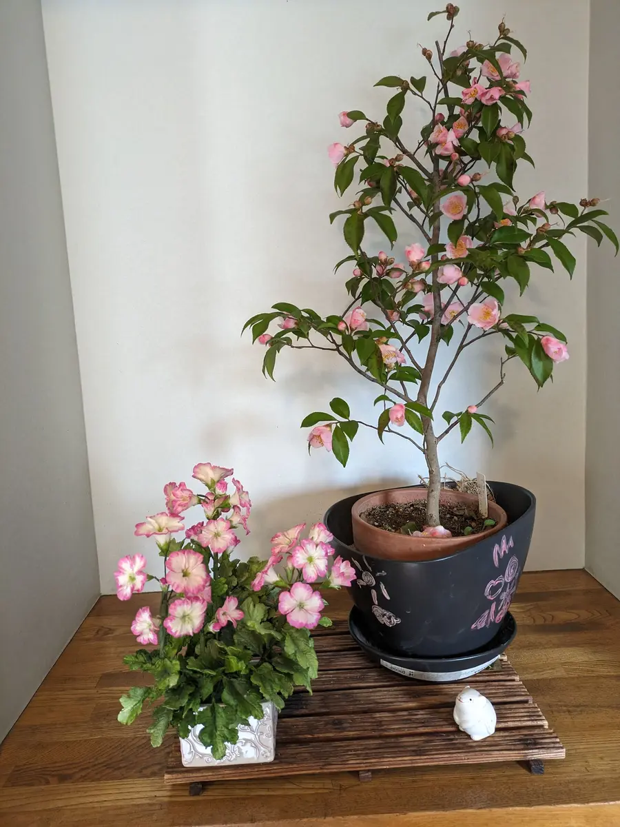 玄関に飾っている椿の花と、友達からの「大好きな花たち No5」の