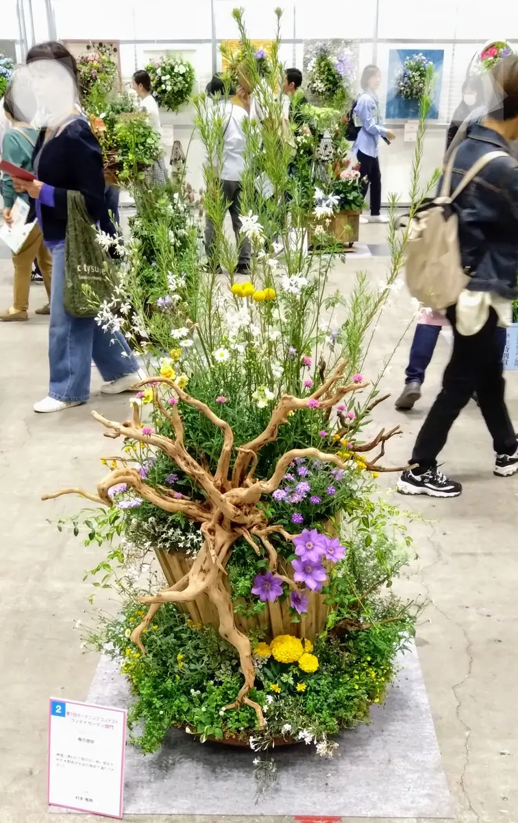 コンテナガーデン部門②202405流木がダイ「2024横浜フラワー