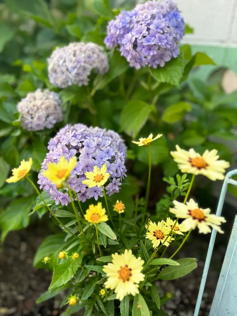 フラワー/ガーデン デコパージュ ꔛꕤ オーバルプランター 紫陽花
