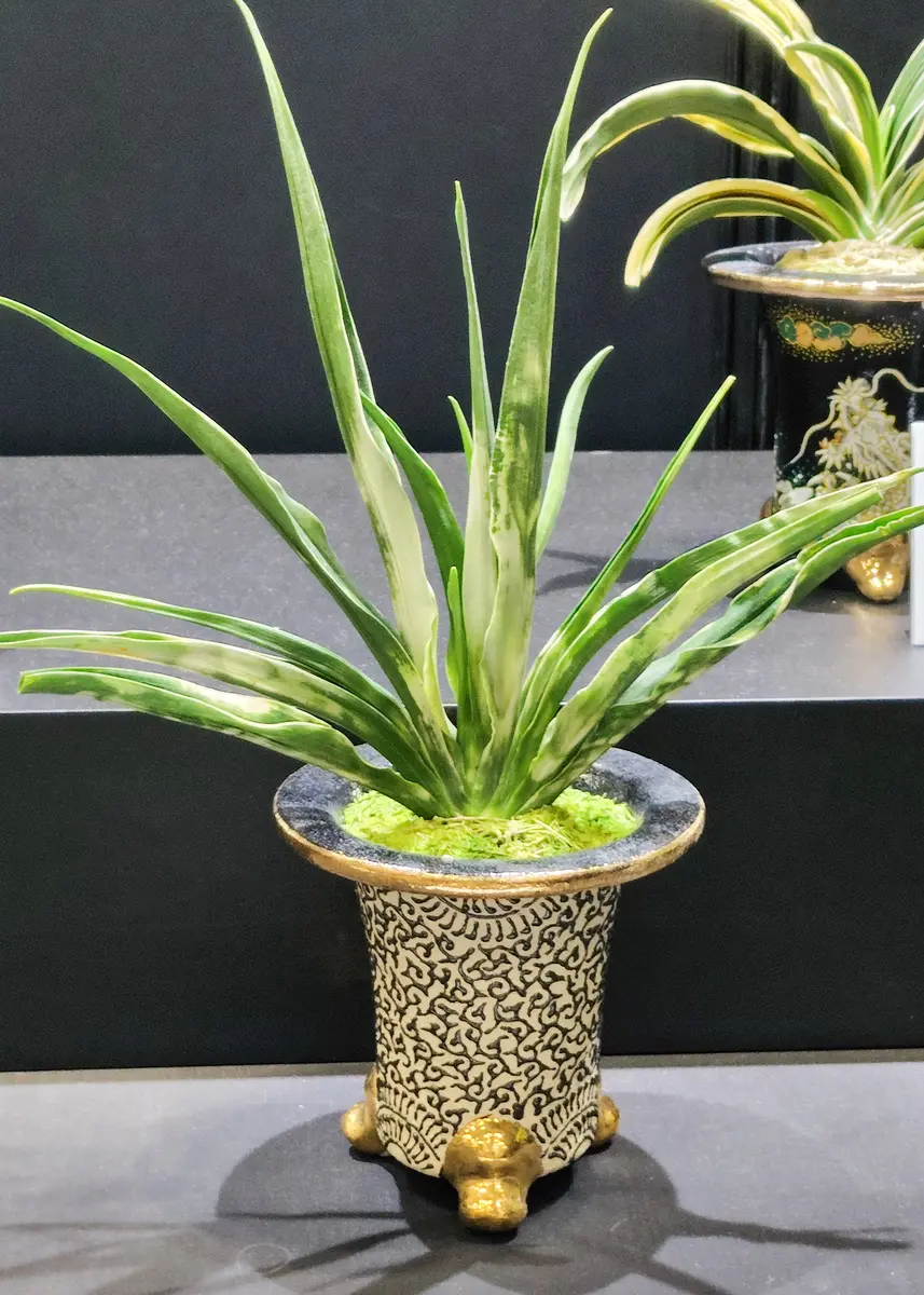 横フラ2025より花とみどり和の愉しみ「横浜フラワー＆ガーデン