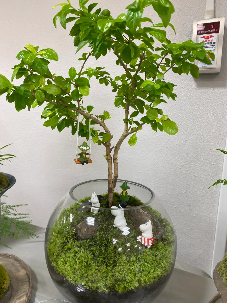 ムーミン お部屋で育てるミニ菜園 植木鉢 フィギュア インテリア Yahoo