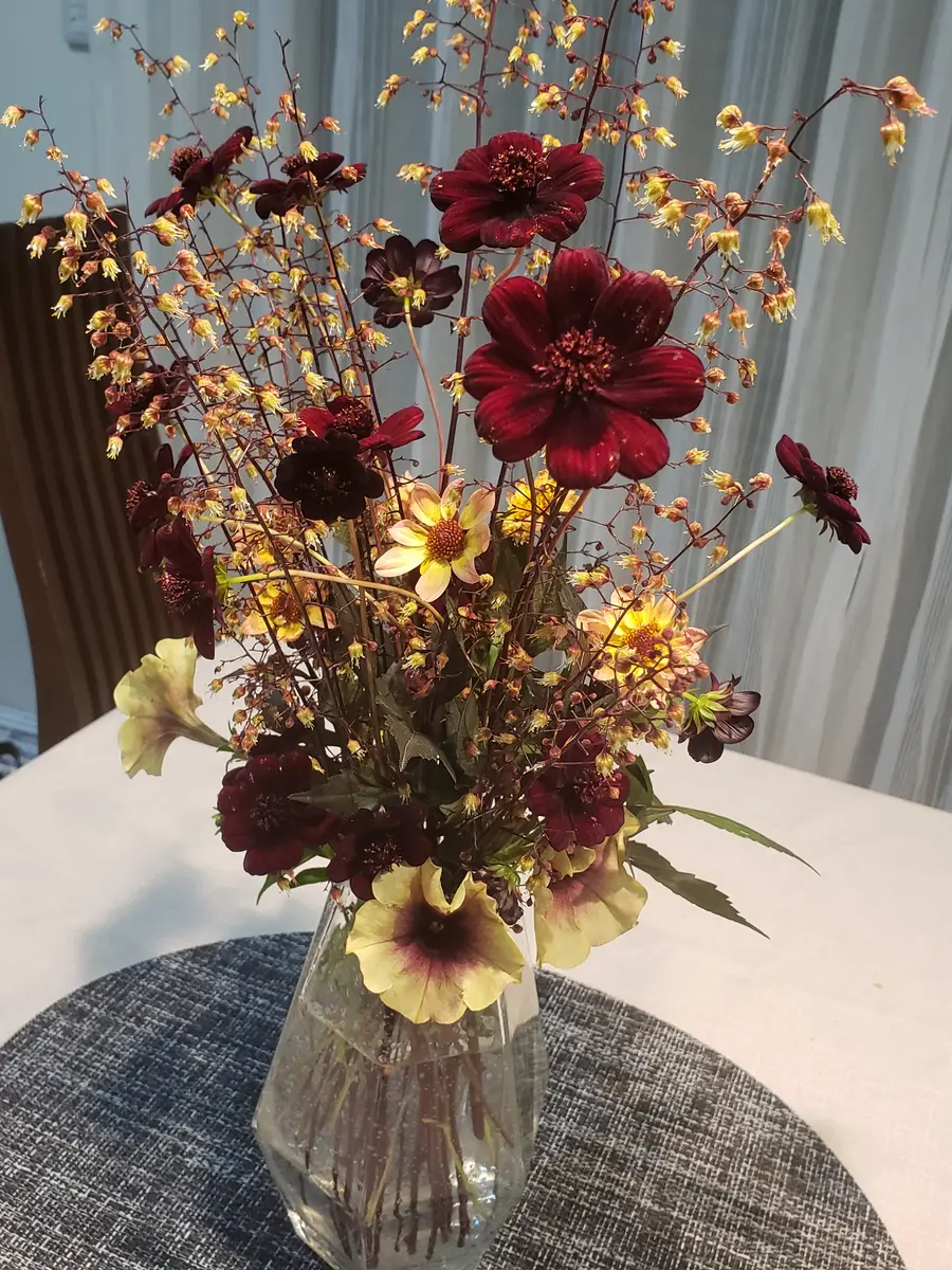 6月2日撮影チョコレートコスモスとヒ「アレンジメント💐」の