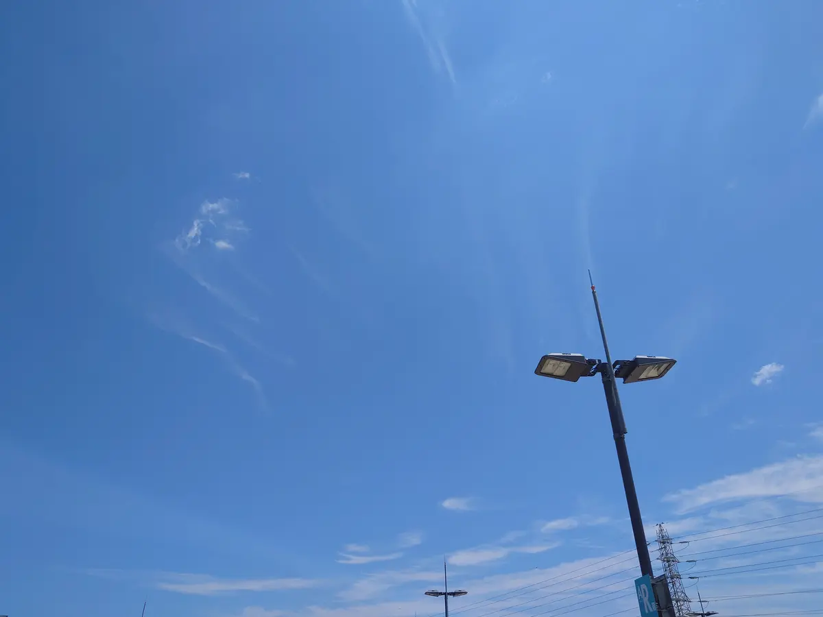 青空😻「空を見上げて その4」のアルバム-みんなの趣味の園芸2488855