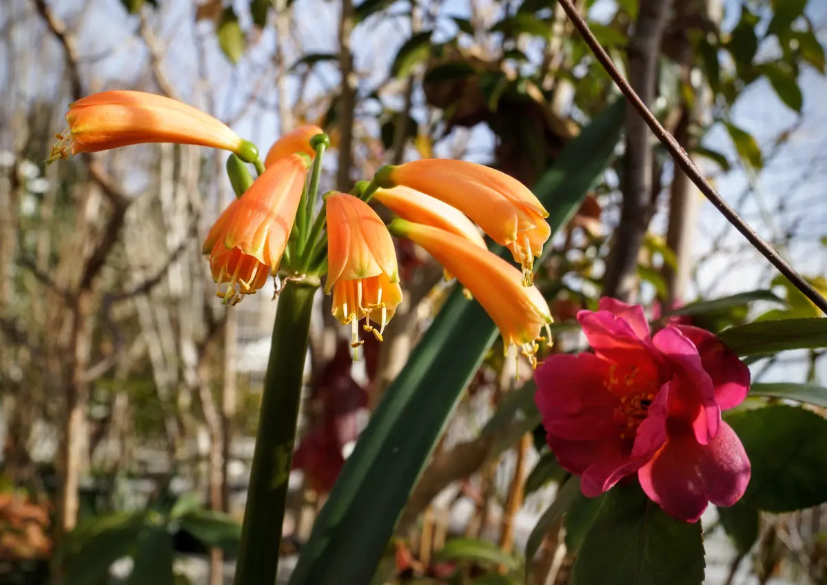 img_cache_a_73232_3_1766799324