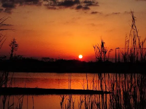 img_cache_a_7332_2_1489845891_