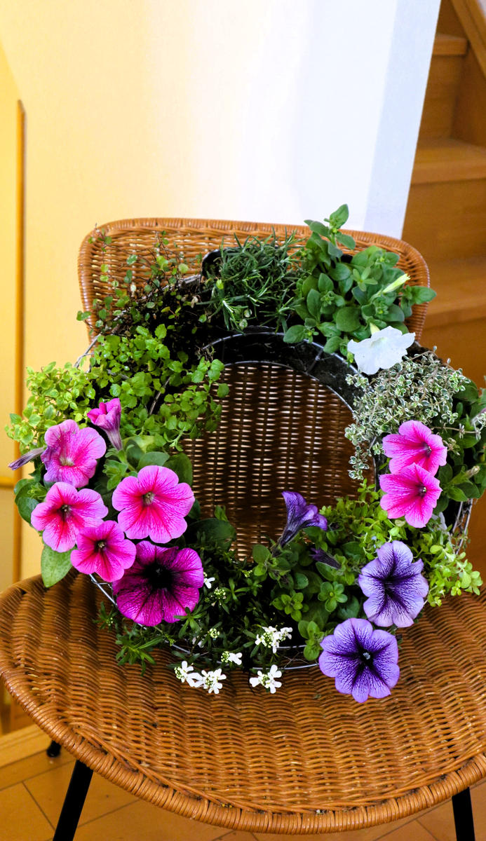 ペチュニアのリースを作ってみました「私の好きな植物たち Ⅸ」の 