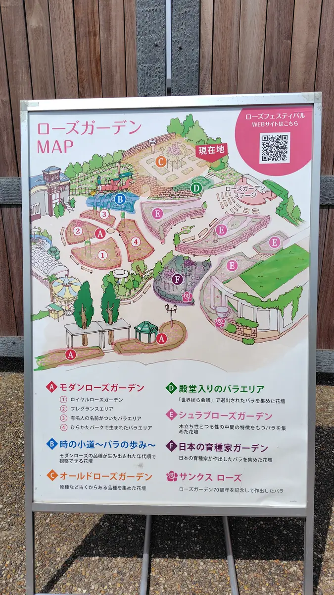 大阪枚方市のひらパー内ローズガーデン「ちょこちょこおでかけ編
