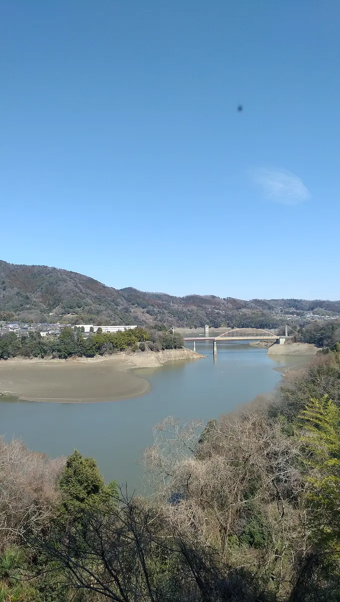 津久井 湖 水位