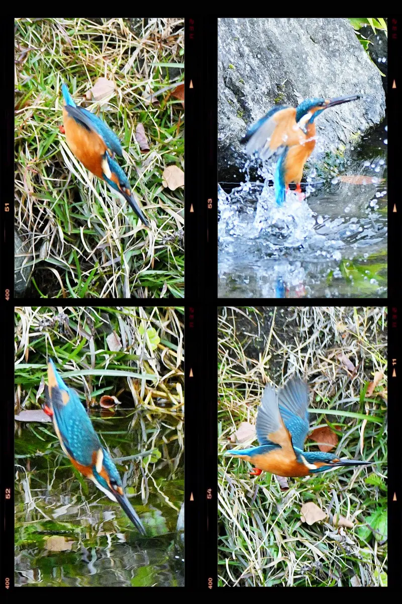 img_cache_a_76734_2_1764066251