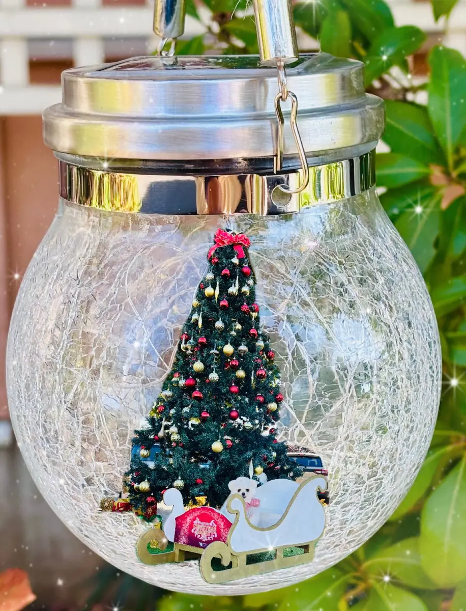 いきものがかり　スノードーム　25周年 スノードーム「2025Winterisintheair」のアルバム-みんなの趣味の園芸