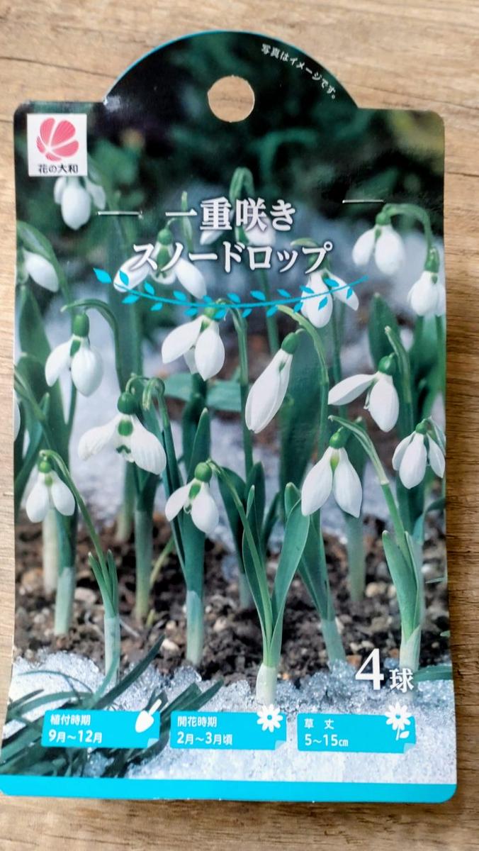 スノードロップの写真-みんなの趣味の園芸2744206