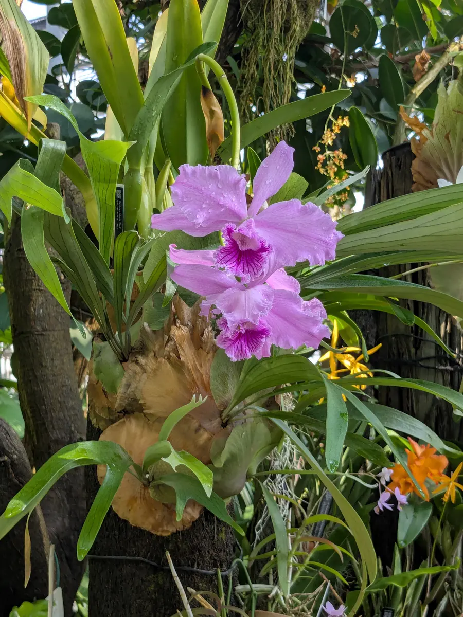 img_cache_a_77916_3_1771140936