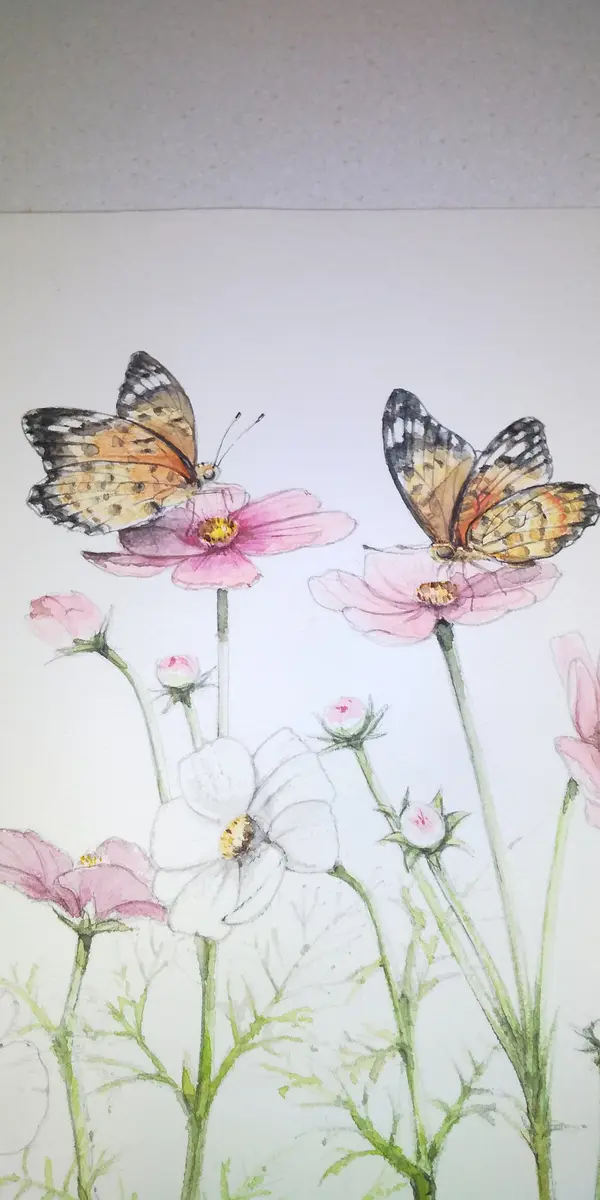 花と蝶の絵です｜園芸日記byぼた山｜みんなの趣味の園芸｜1001932