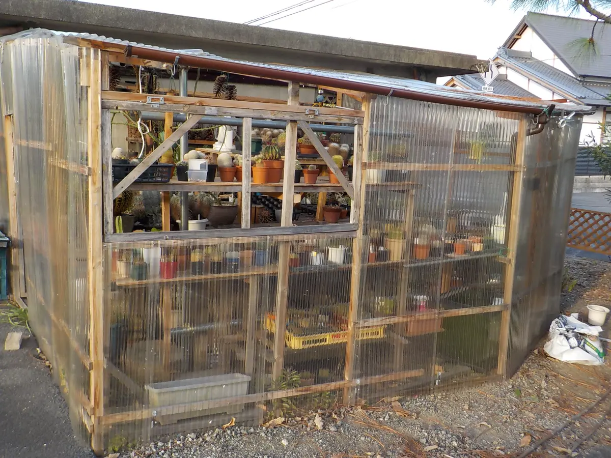 多肉小屋｜園芸日記byすてきなおじいちゃん｜みんなの趣味の園芸｜1014218