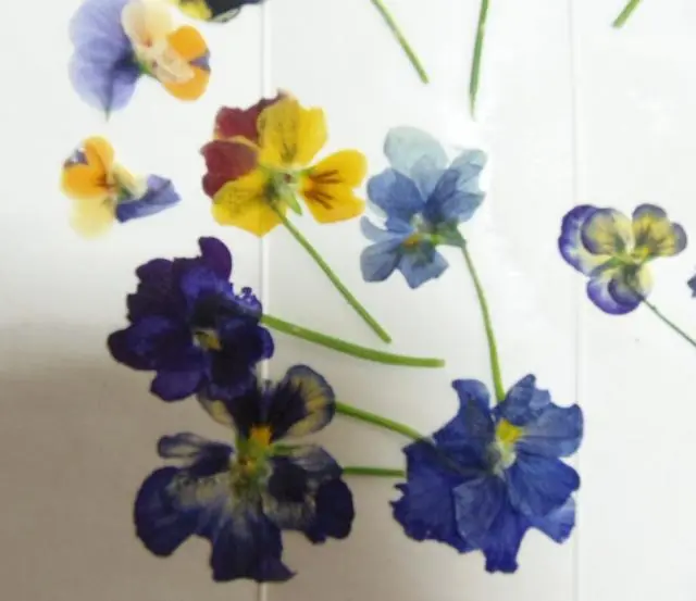 押し花用アイロン ハマナカ おし花布用アイロンコーティングシート(厚) おし花布