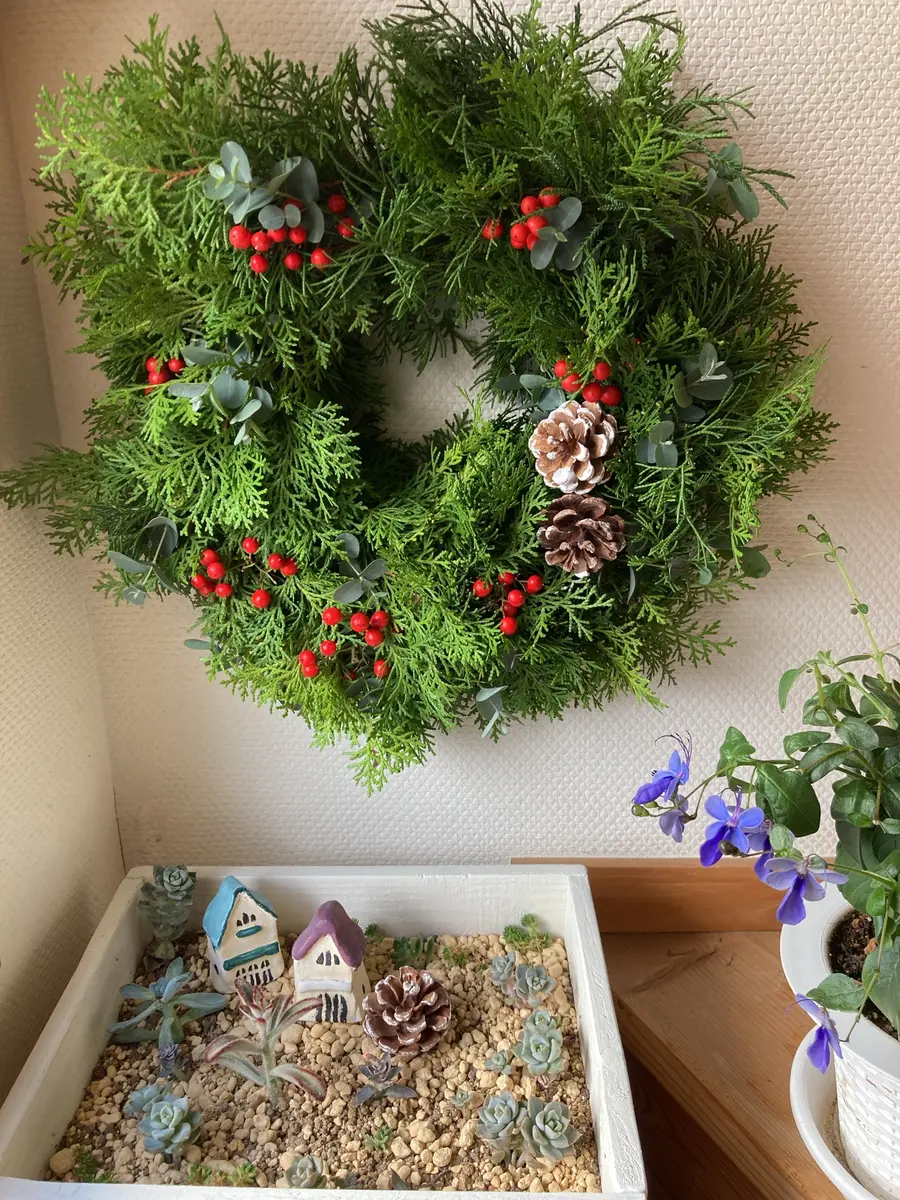 🎄クリスマスリース🌿✨｜園芸日記byしろまる｜みんなの趣味の園芸