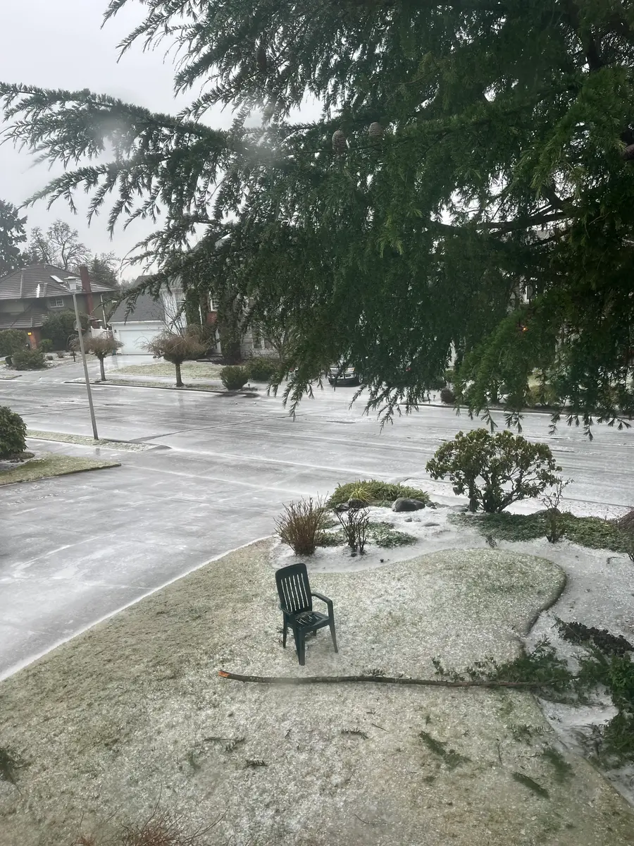 杉ぼっくり爆弾13コ回収！｜園芸日記byトモリン｜みんなの趣味の園芸