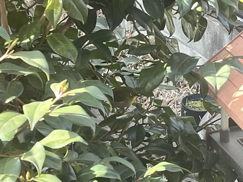 　盗撮　趣味 