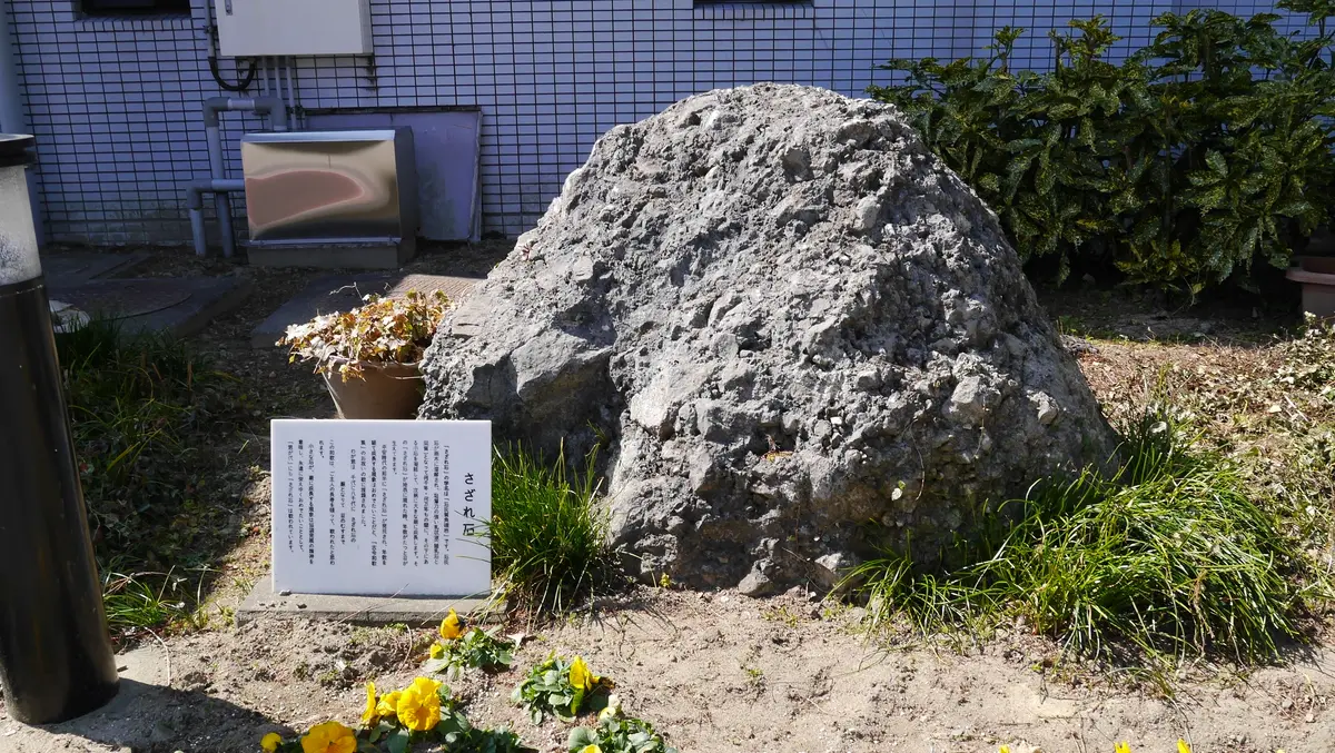 こんな所に「さざれ石」｜園芸日記byshinji70｜みんなの趣味の園芸