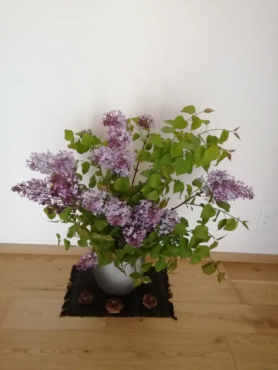 紫のライラックを花瓶で✨｜園芸日記byカシワバアジサイ｜みんなの趣味