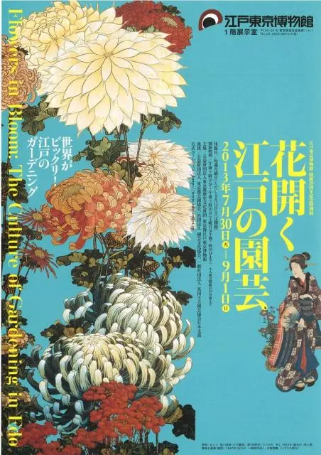 『花開く江戸の園芸』＠江戸東京博物館｜園芸日記byくろいぬ｜みんなの趣味の園芸｜107774