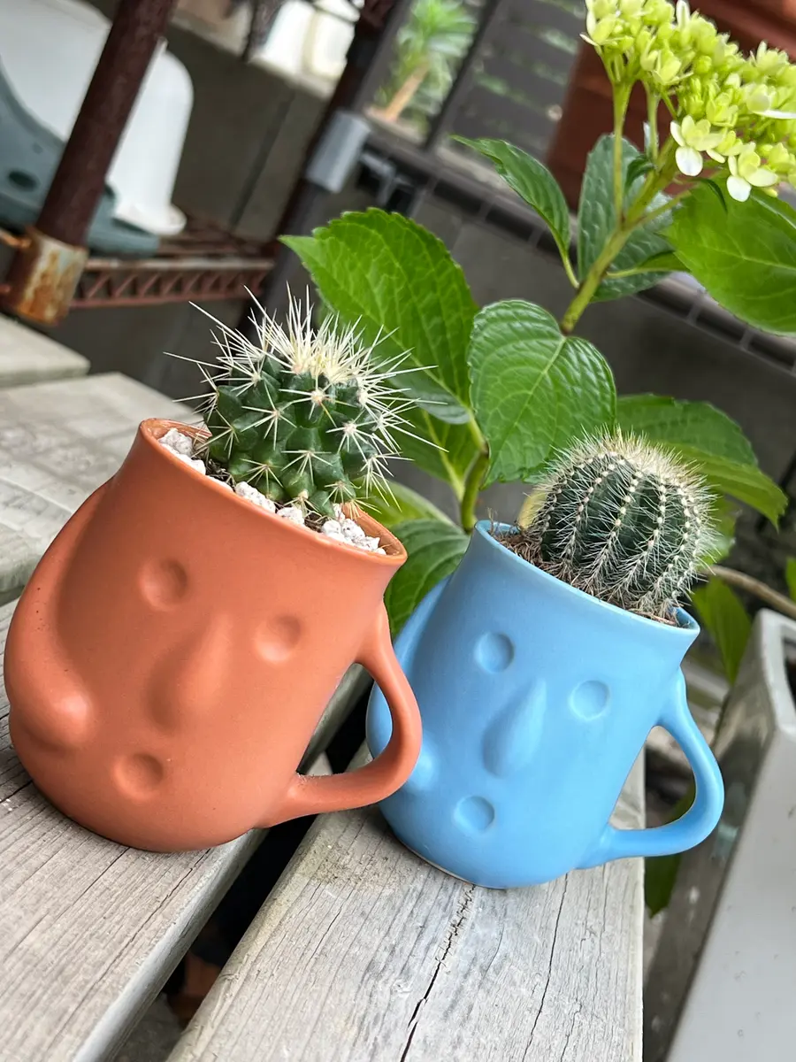 さぼてん超獣サボテンダー発売中～！ : イーグルあれこれ雑記