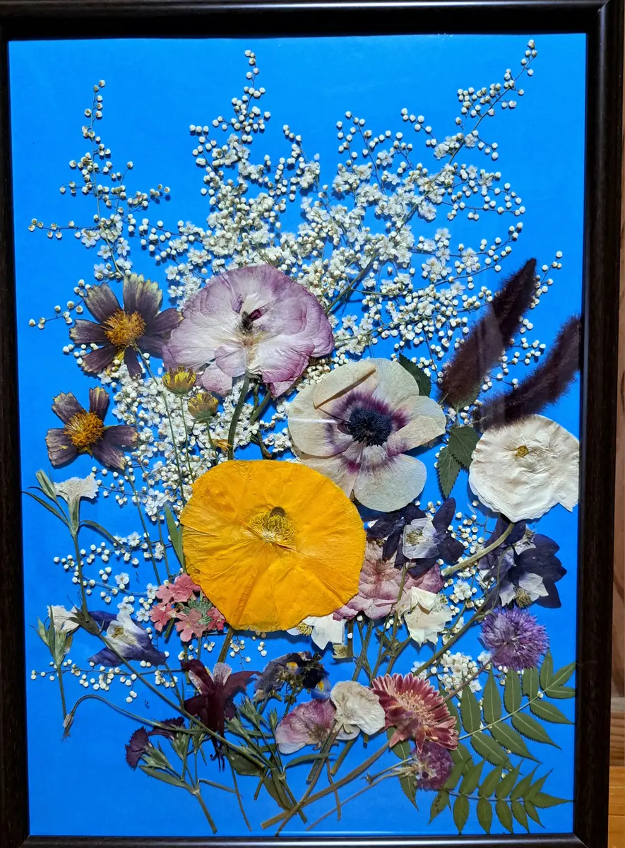 押し花絵 押し花アート 黄花コスモスのデザイン(押し花絵） - フルール