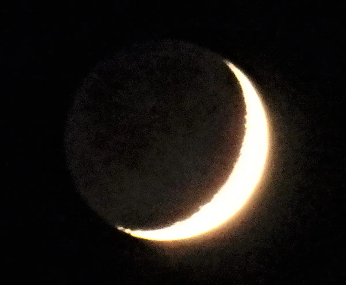 今日の庭から・・・（344）： 上弦の月（三日月）｜園芸日記by団塊