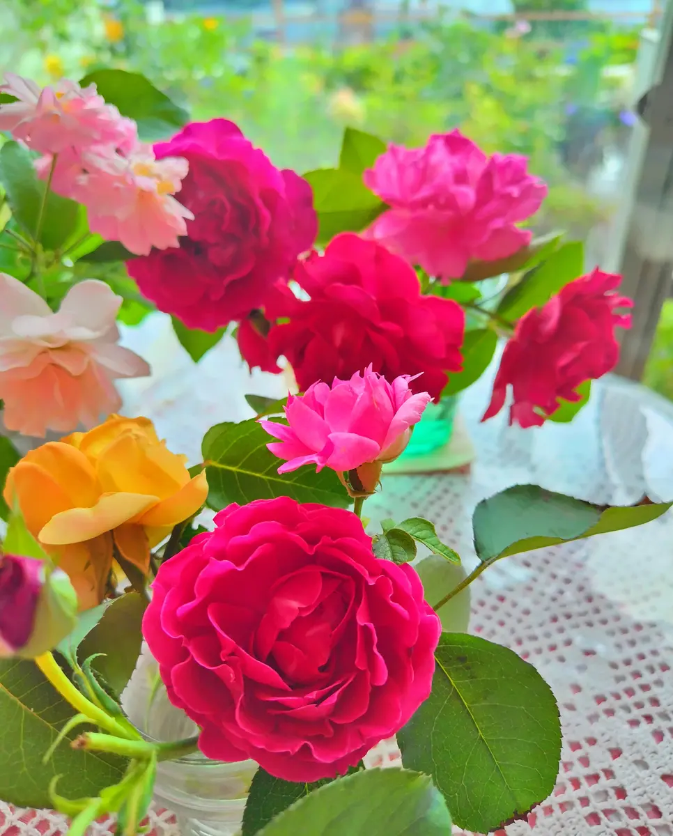 薔薇の生け花🌹①｜園芸日記byjictenko｜みんなの趣味の園芸