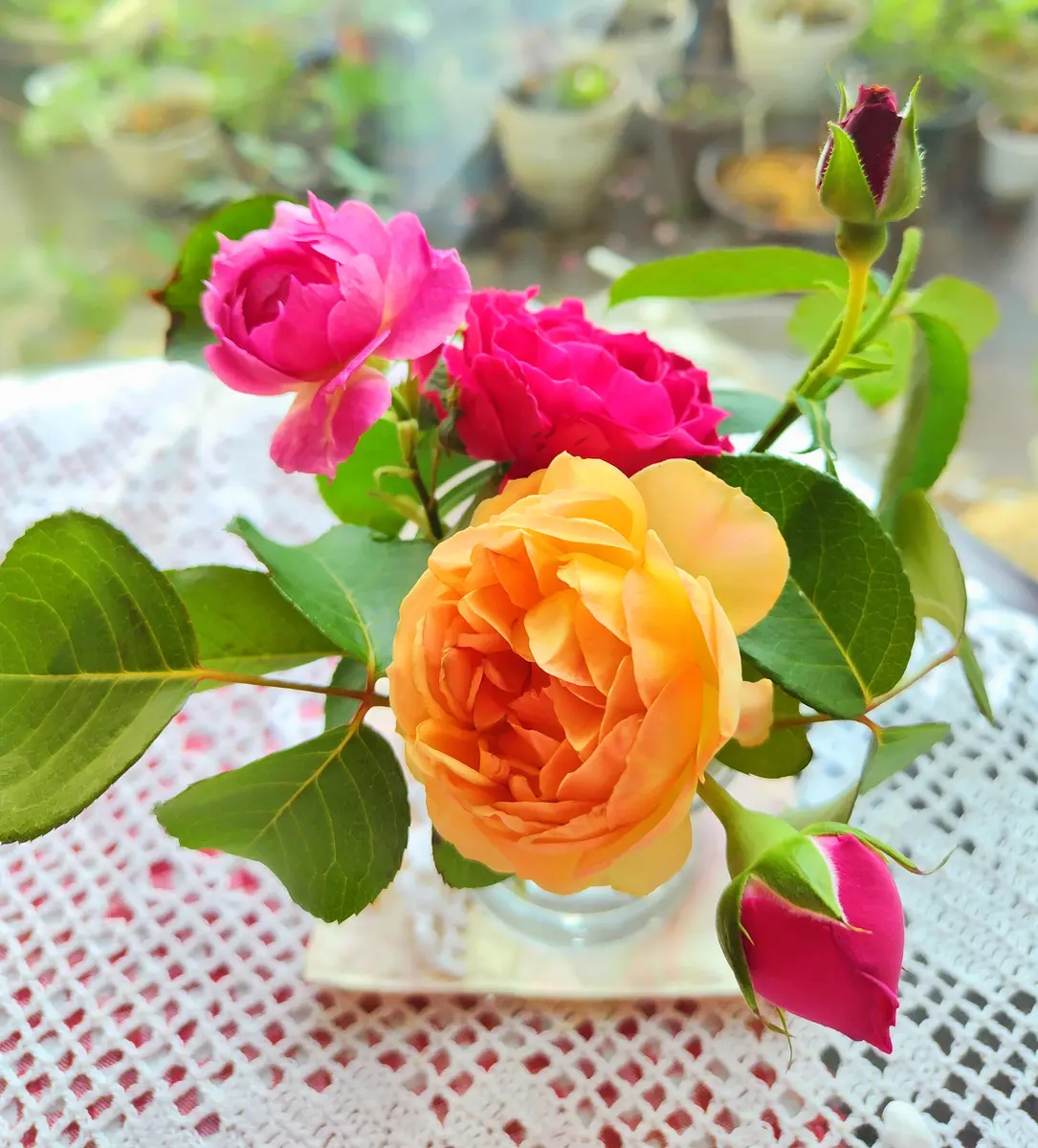 大人気の 薔薇の生け花🌹①｜園芸日記byjictenko｜みんなの趣味の園芸 花束・切花