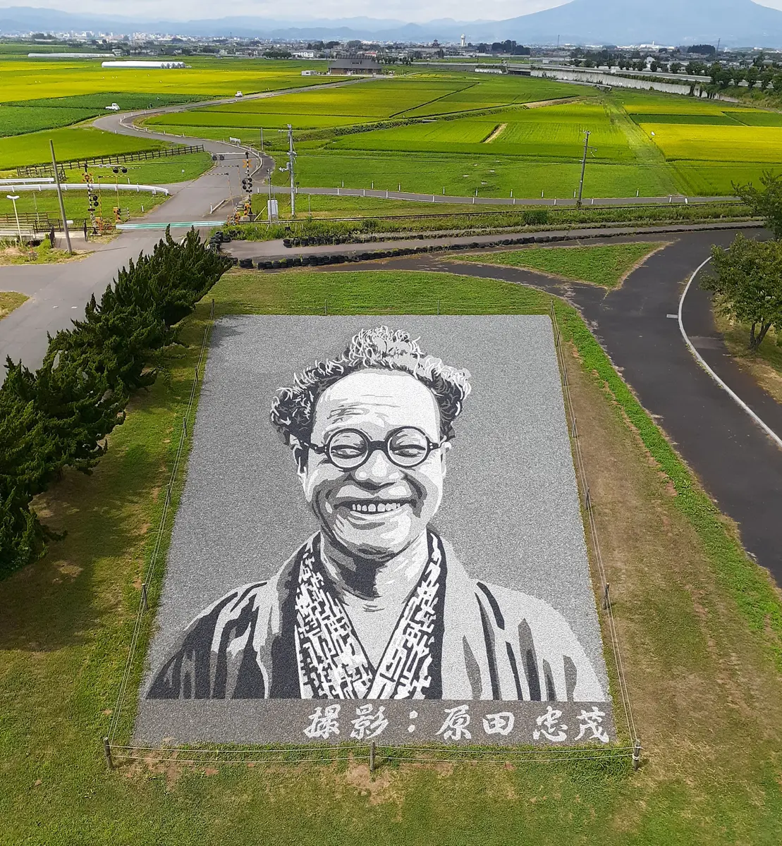 田んぼページ 2025舟川べり田んぼアートPR看板設置🪧 // 見学に来られた方が分かり