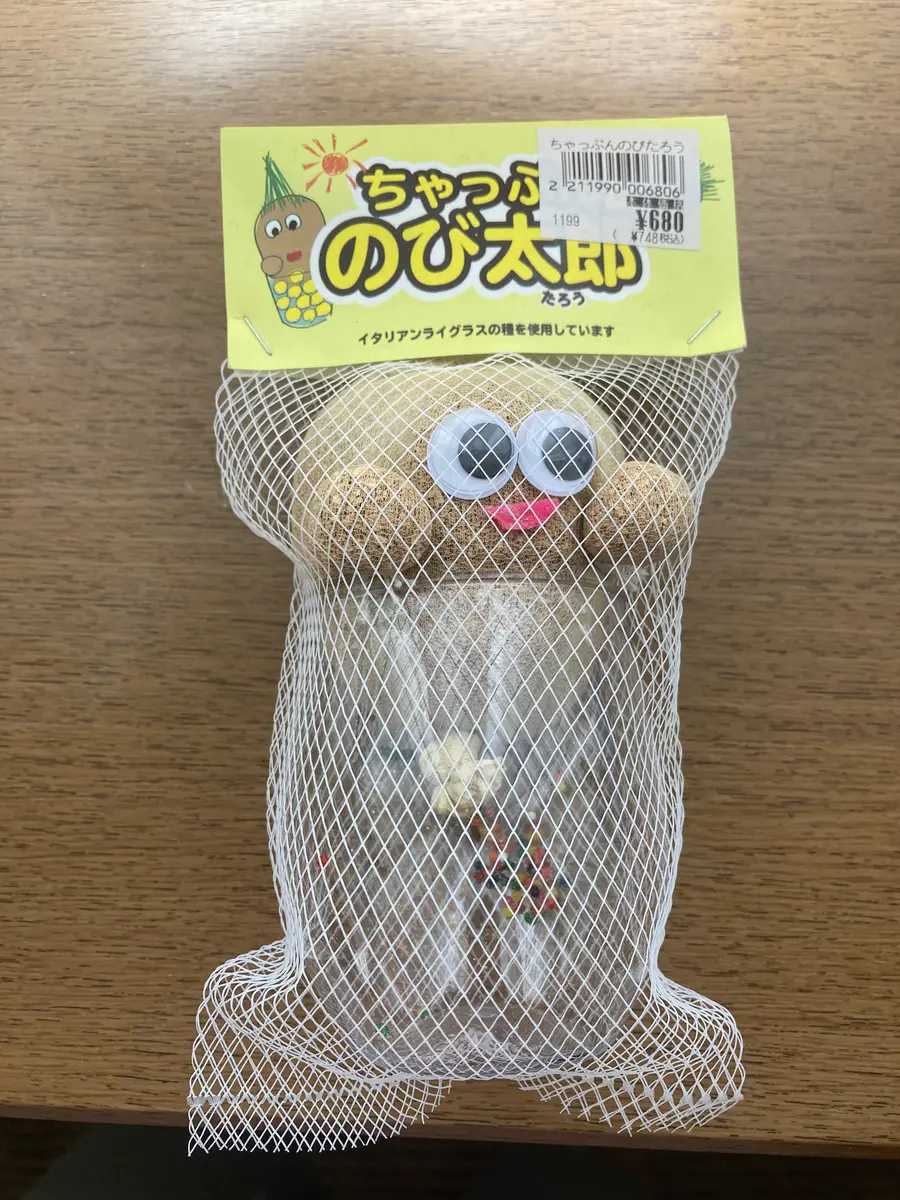 ちゃっぷんのび太郎①｜園芸日記by京子ママのお庭｜みんなの趣味の園芸