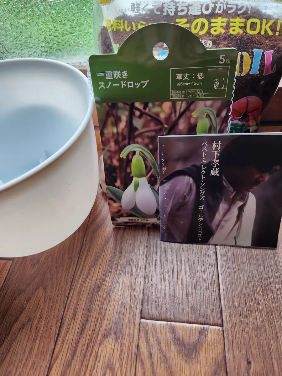 スノードロップと初恋｜園芸日記byピンク·レモネード｜みんなの趣味の