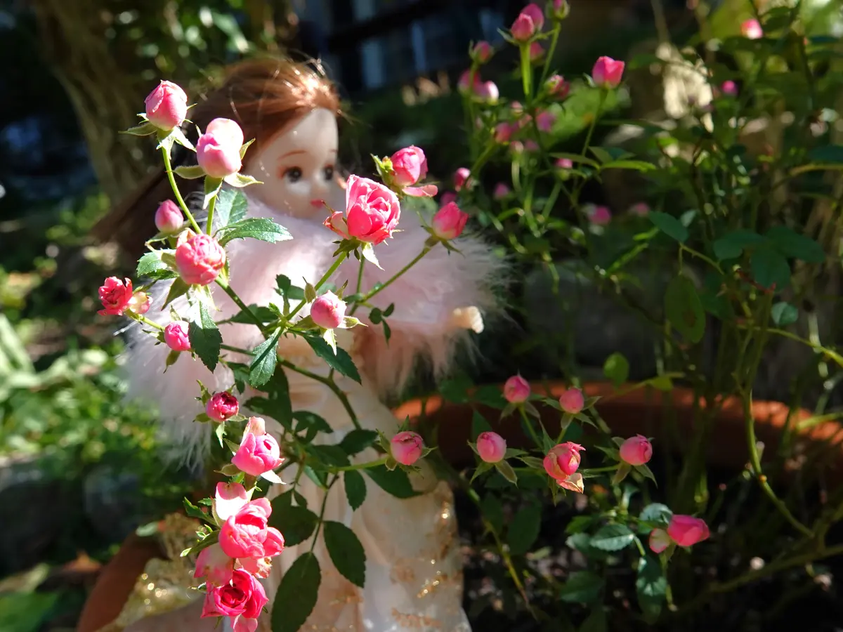 激安通販サイト ピンク屋根*薔薇ローズガーデン*ドールハウス*ハンドメイド その他