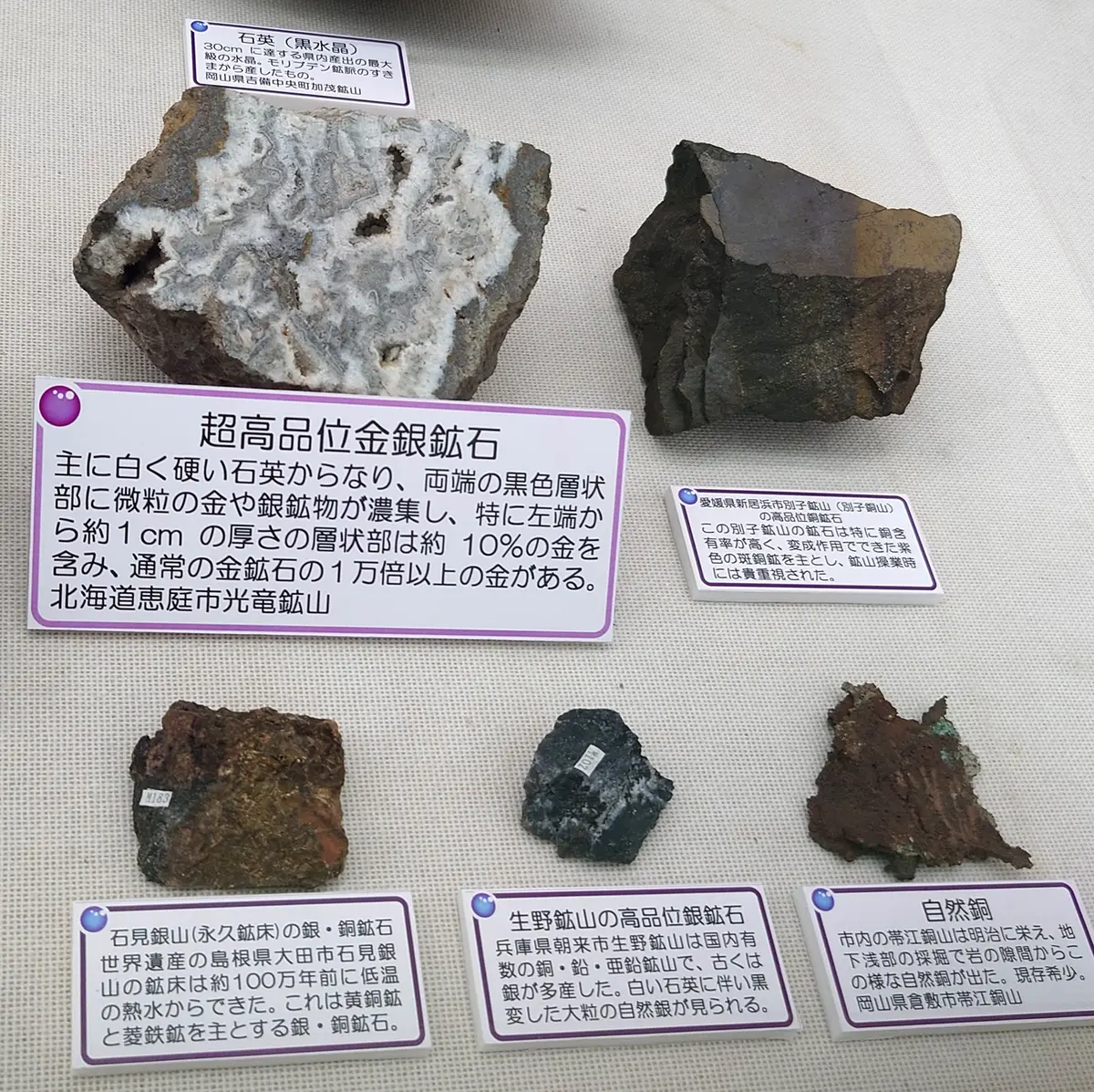 2023年9月25日 倉敷市立自然史博物館 番外｜園芸日記by鉢植え100
